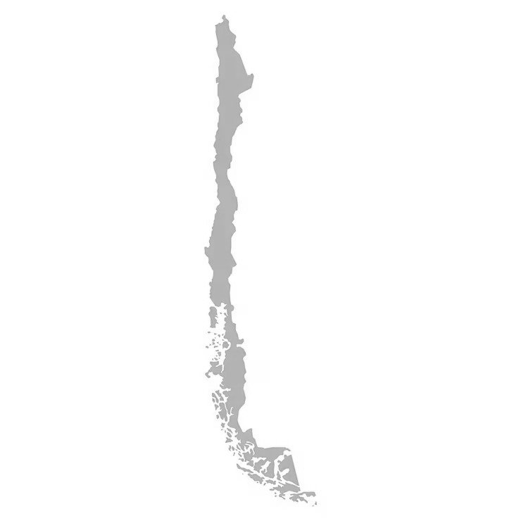 productores de aguacate en chile