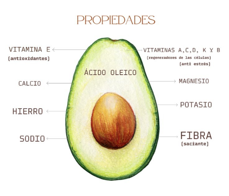 propiedades del aguacate
