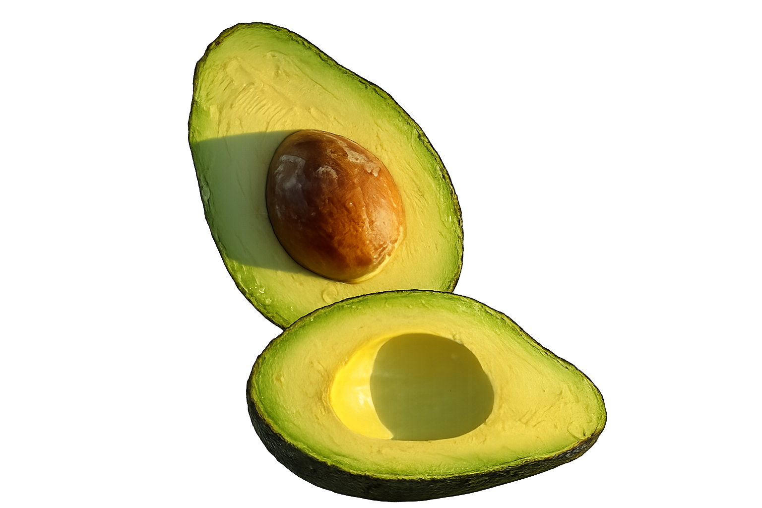 Avocoop